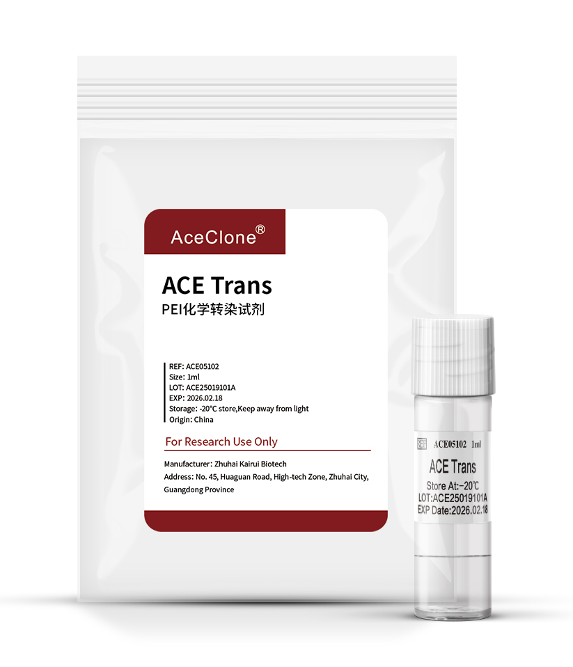 ACE Trans 1ml (PEI chemical transfection