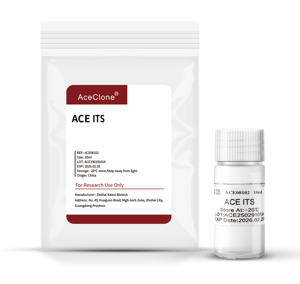 ACE ITS