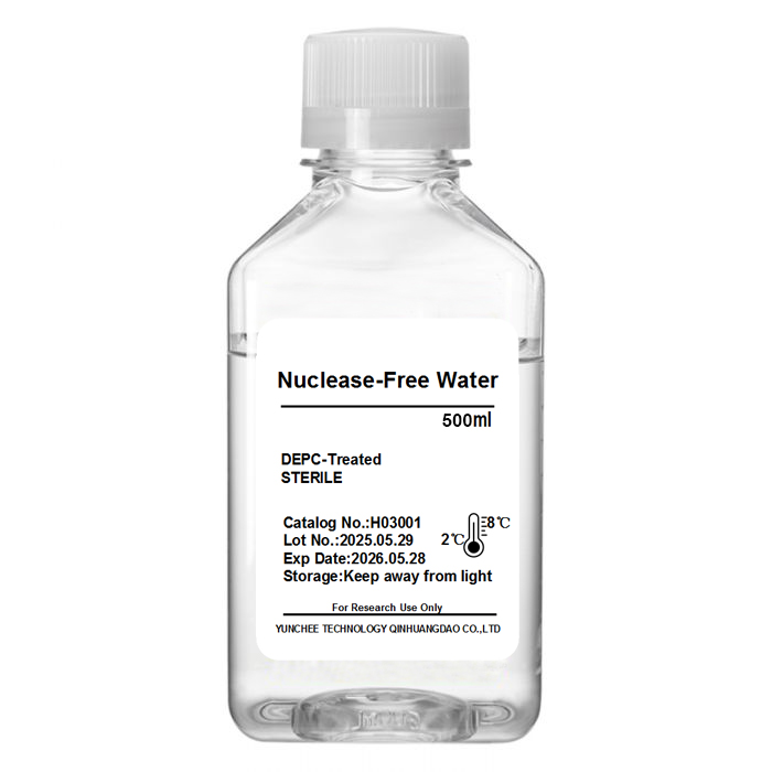 Enzyme-Free Sterile Water